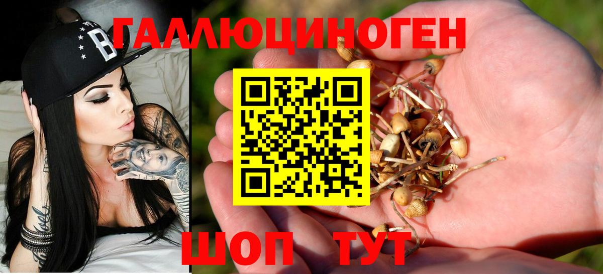 Псилоцибиновые грибы ЛСД Кушва